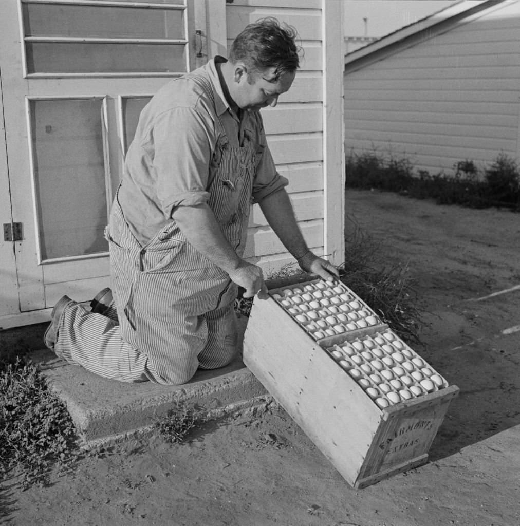 Farmer with Eggs Produced by Poultry Enterprise of Two Rivers Non-Stock Cooperative Association, Nebraska, September 1941