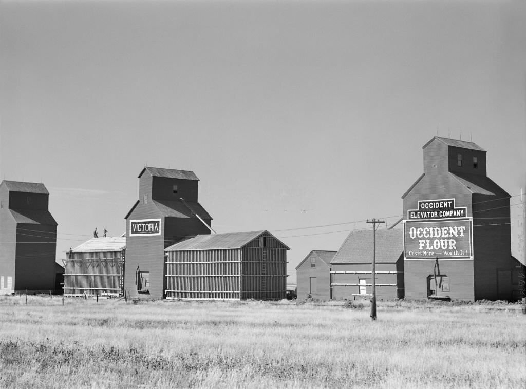 Grain Elevators, Homestead, Montana, August 1941