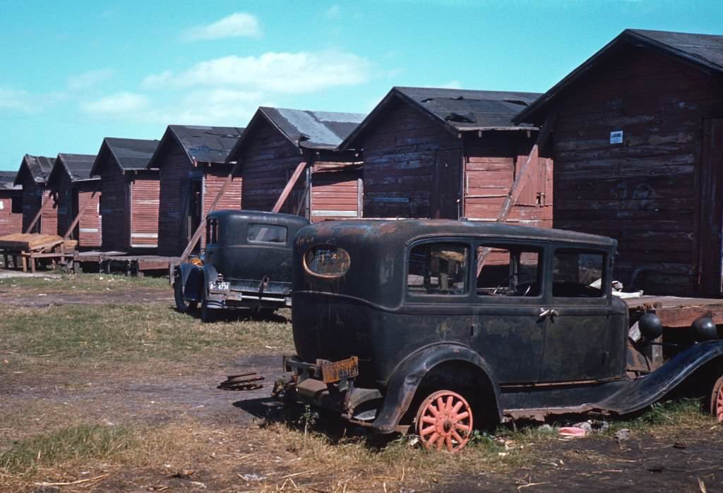 Row of Homes Condemned by Board of Health that are Still Occupied by African-American Migratory Workers, Belle Glade, Florida, January 1941