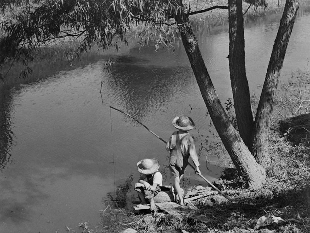 Two Cajun Boys Fishing in Bayou, Schriever, Terrabonne Parish, Louisiana, June 1940