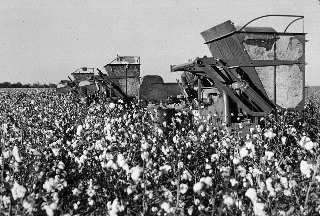 Three cotton picking machines on the Hobson plantation near Clarkesdale, Mississippi, 1939