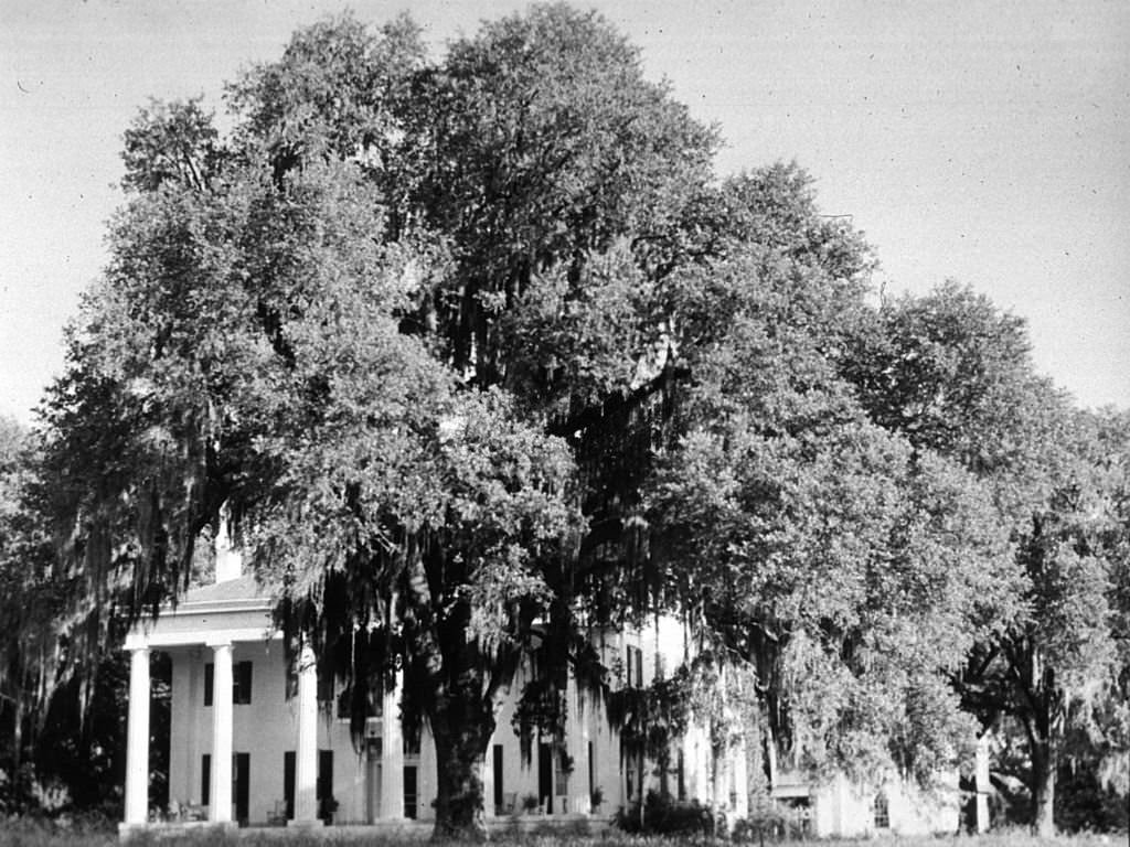 A mansion in Natchez, Mississippi, 1940