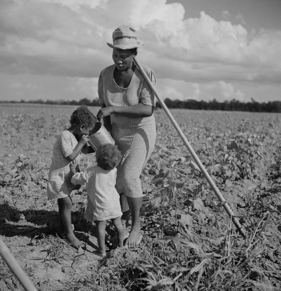 Woman giving her two Children Water while Hoeing Cotton, 1940