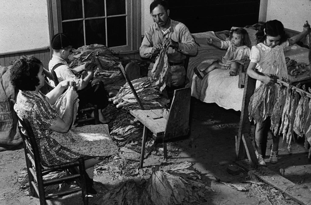A family stripping, tying and grading tobacco in their home in Granville County, North Carolina, November 1939