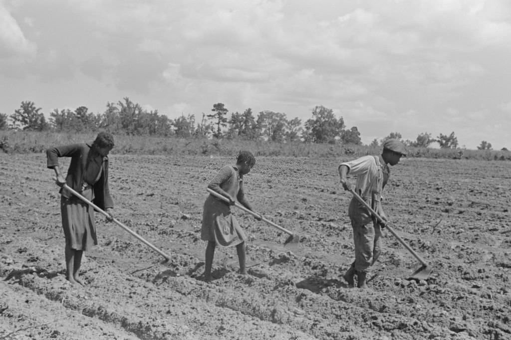 Three Children Hoeing Field, Flint River Farms, Georgia, 1939