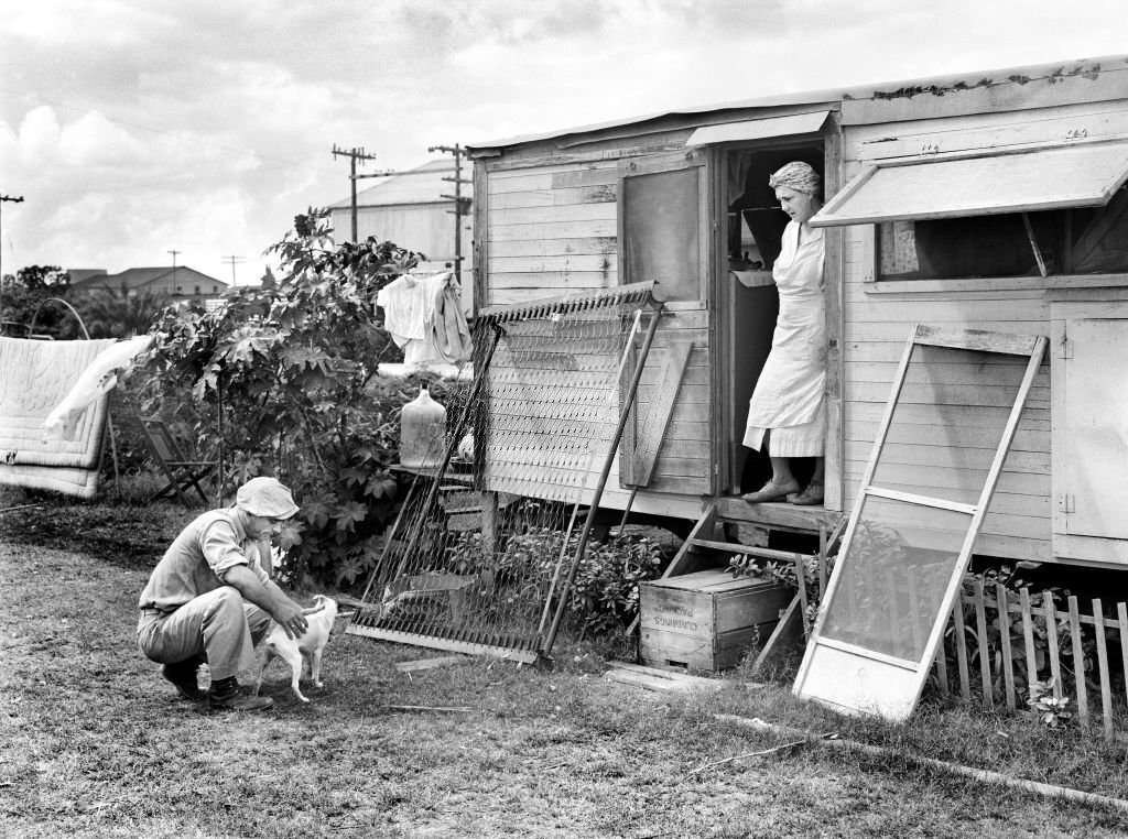 Migrant Packinghouse Workers, Belle Glade, Florida, 1939