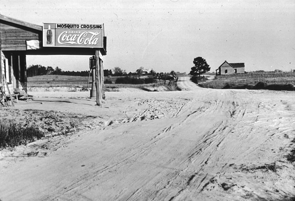 Mosquito Crossing near Greensboro, Greene County, Georgia, 1939