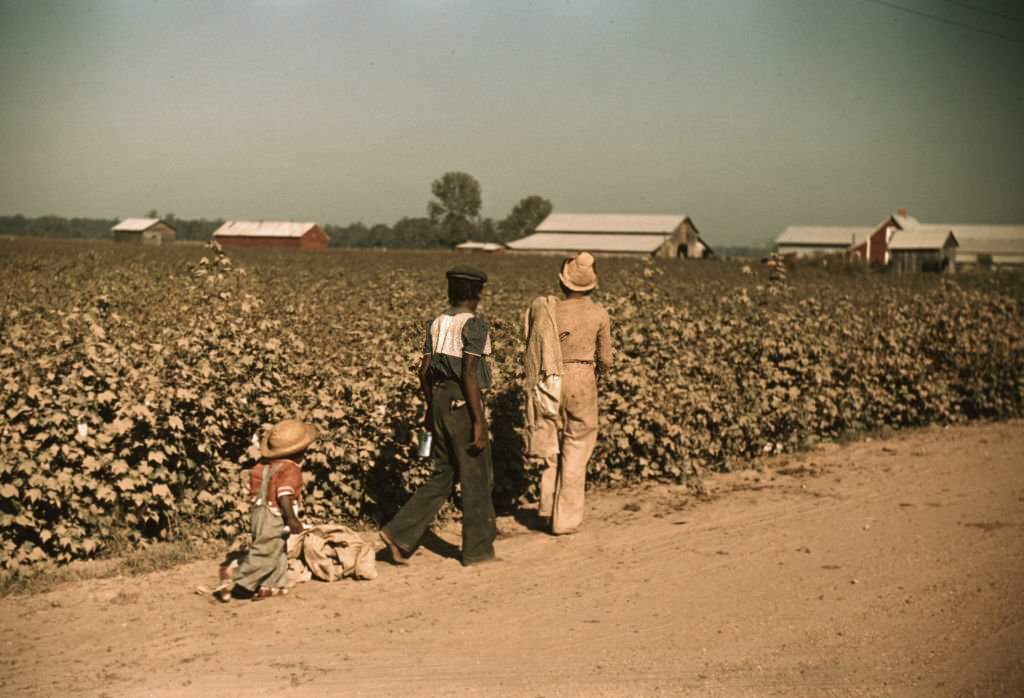 Day laborers picking cotton near Clarksdale, Mississippi, 1940