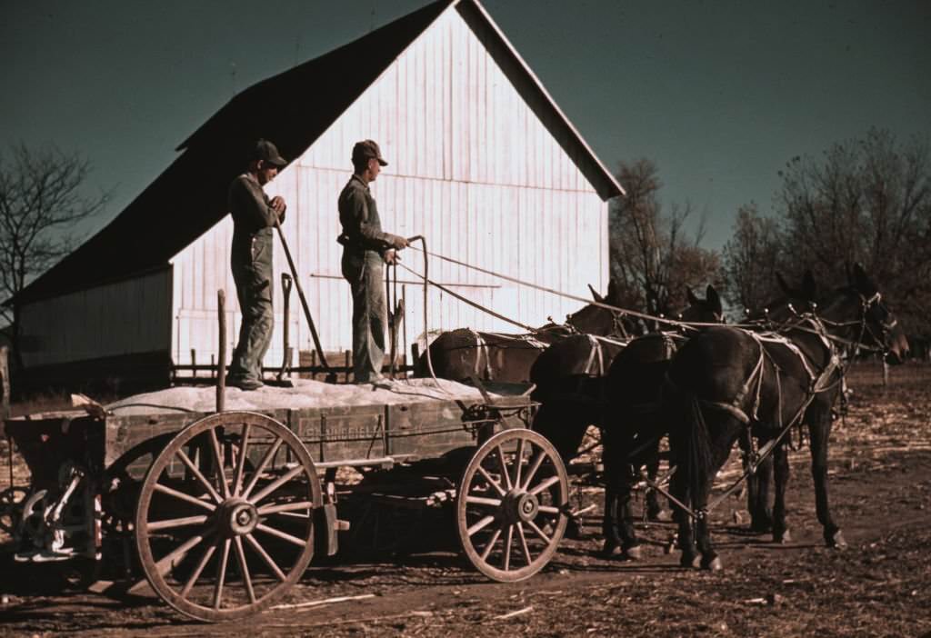 Southeastern Georgia, 1940