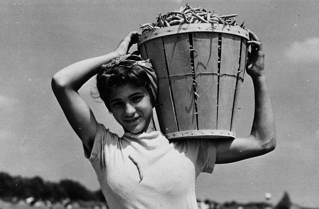 An Italian day laborer with a bucket of beans at Seabrook Farms, New Jersey, July 1941