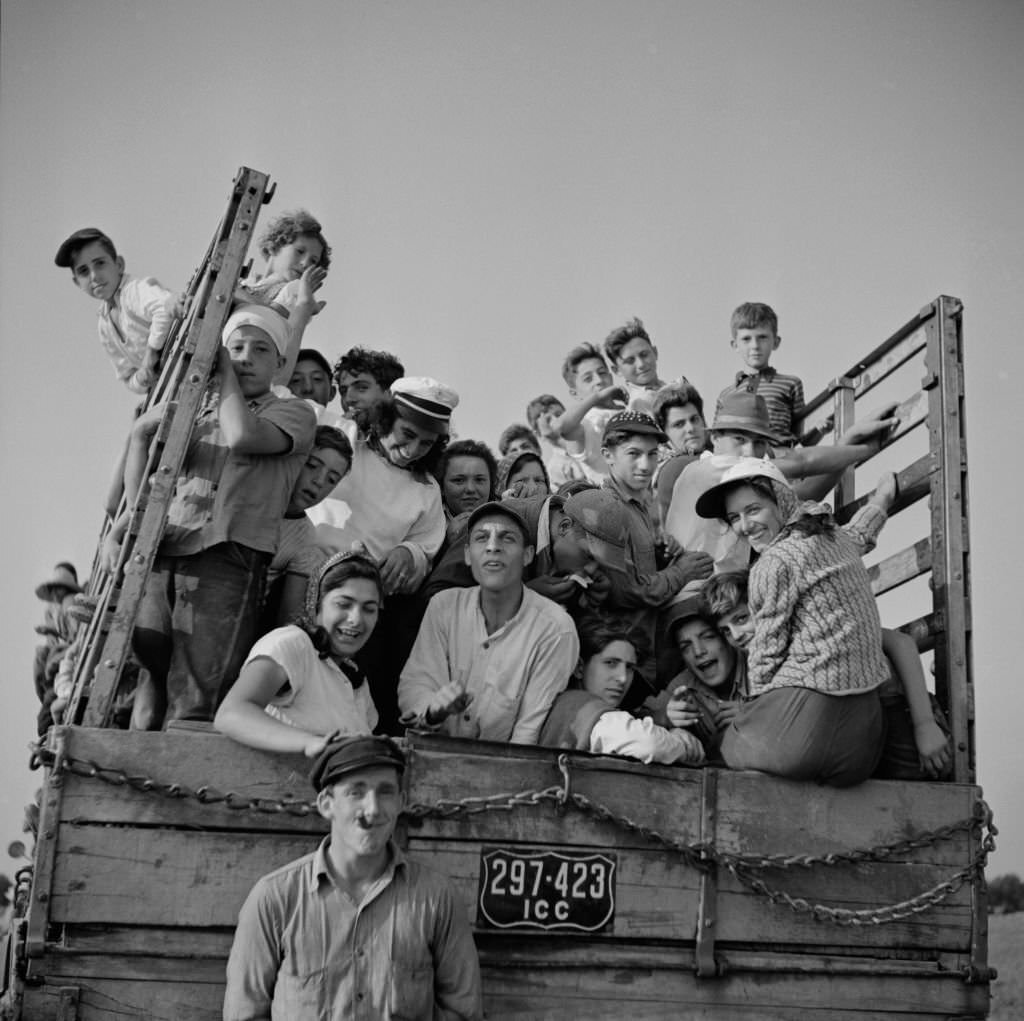 Group of Day Laborers on Truck being brought to Farm to Pick String Bean, Bridgeton, New Jersey, July 1941