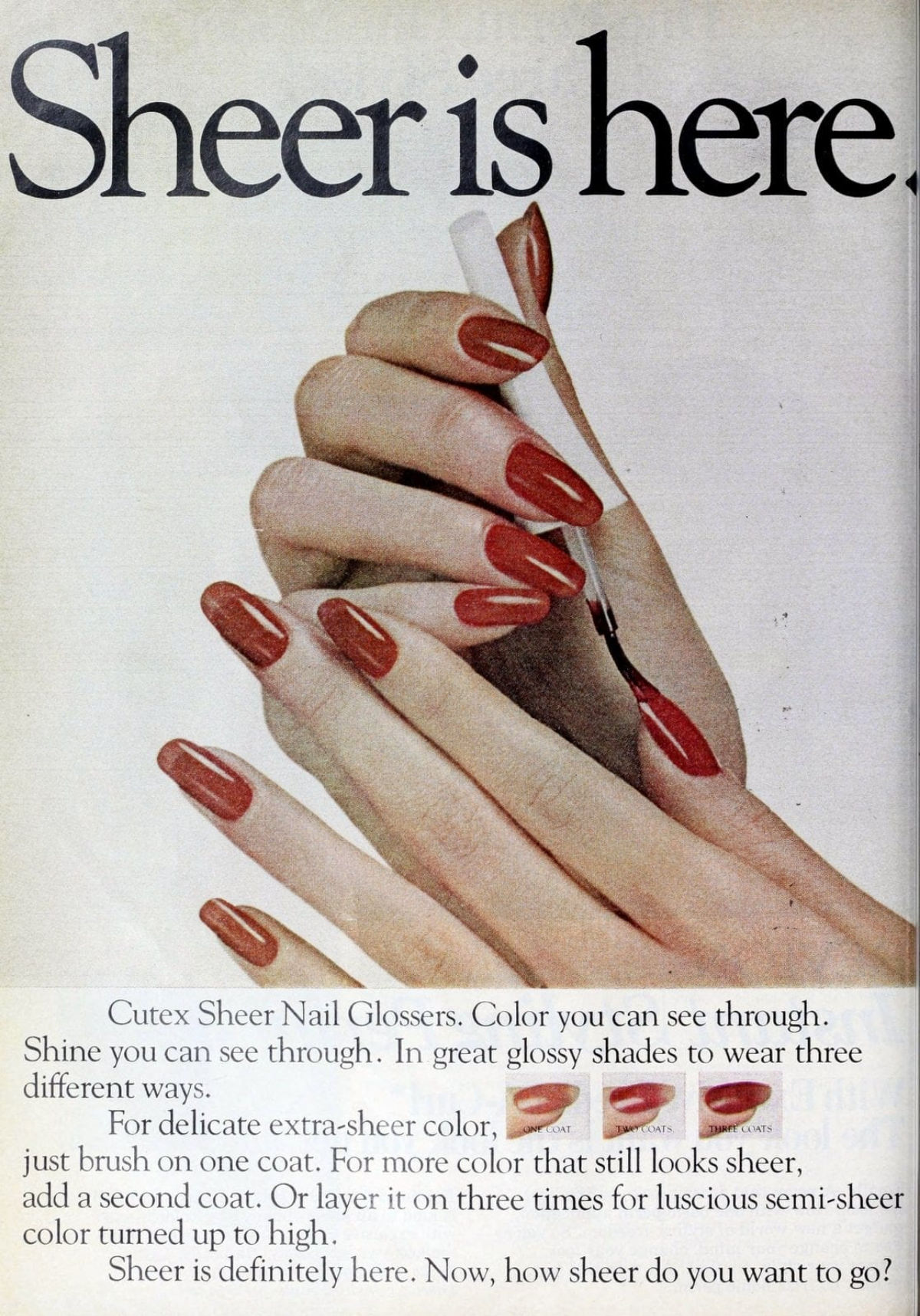 Sheer is here, 1981.