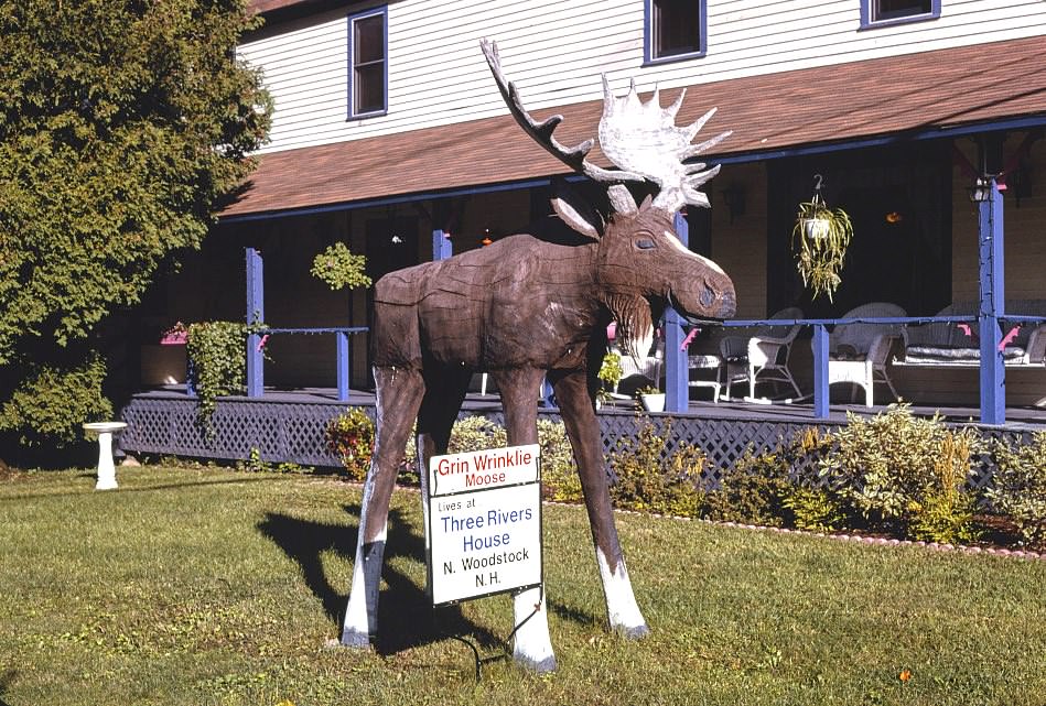 Erin Wrinkle Moose sign, North Woodstock, New Hampshire, 1996
