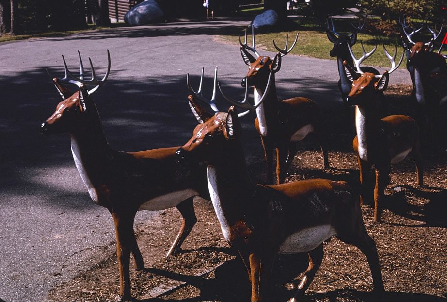 Santa's Village, Route 2, Jefferson, New Hampshire, 1997