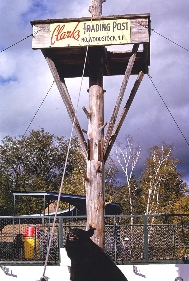 Clark's Trading Post, North Woodstock, New Hampshire, 1991