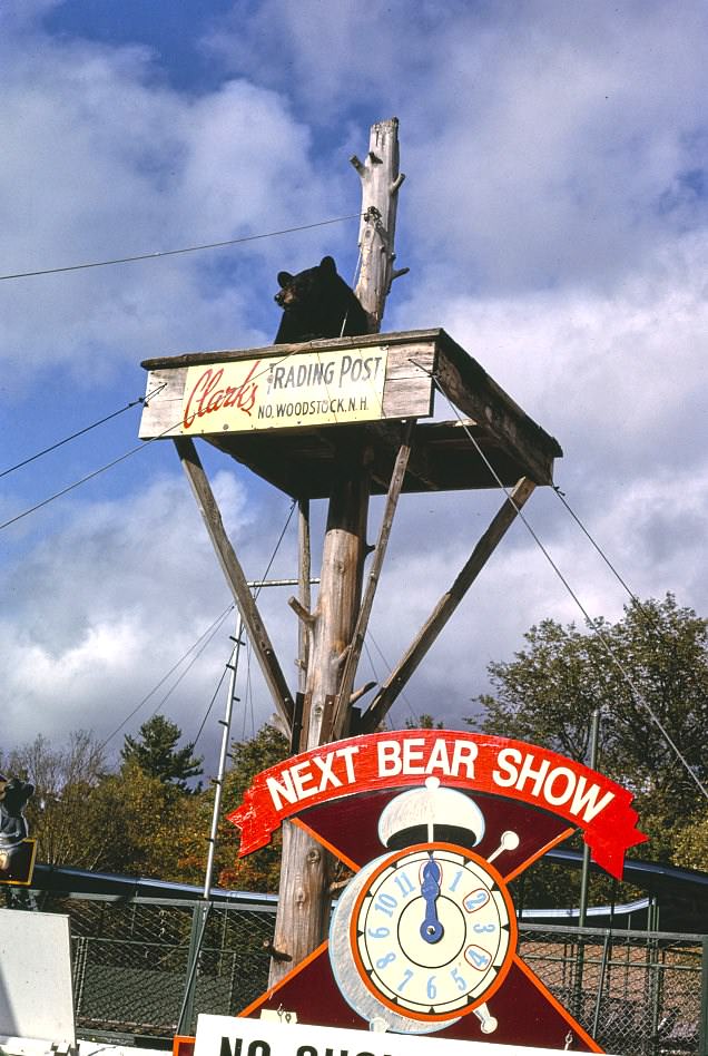 Next Bear Show sign, Clark's Trading Post, North Woodstock, New Hampshire, 1995