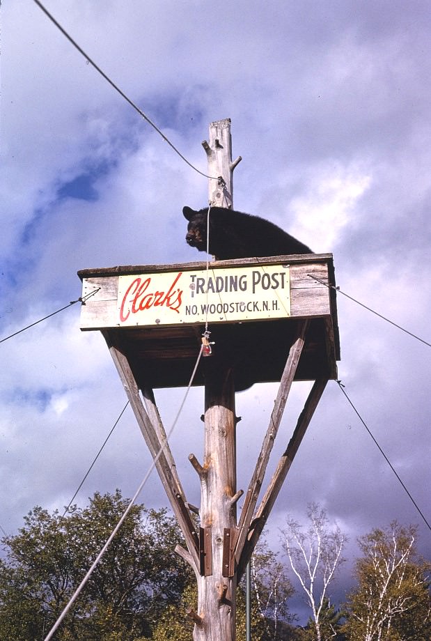 Clark's Trading Post, North Woodstock, New Hampshire, 1995