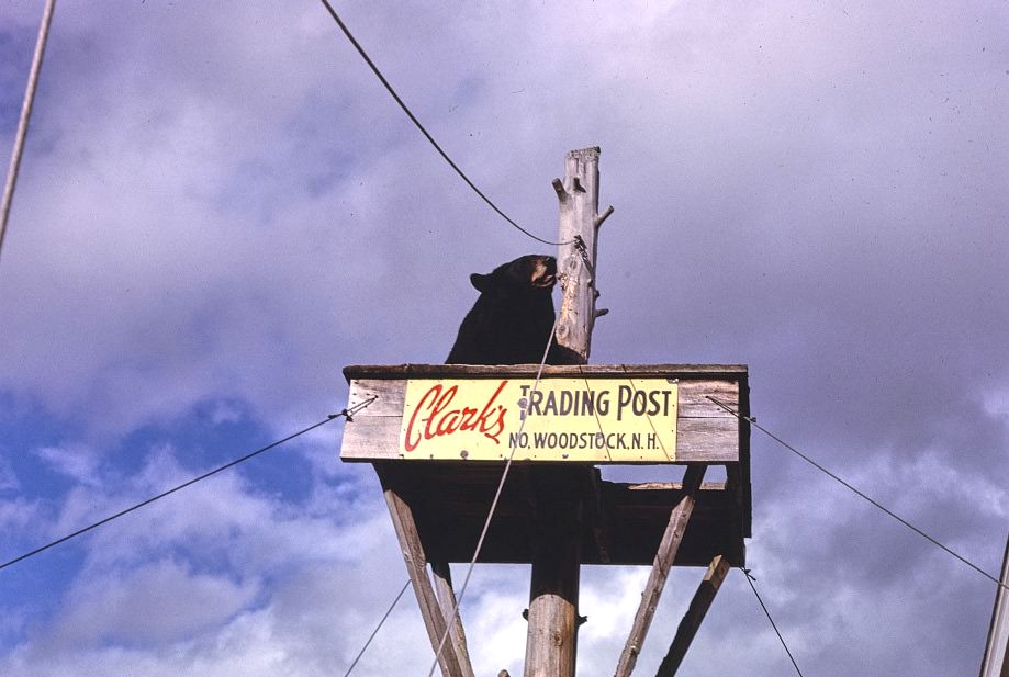 Clark's Trading Post, North Woodstock, New Hampshire, 1995