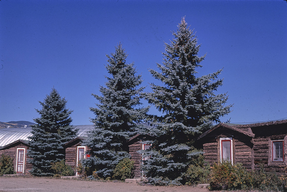 Horseshoe Motel, Eagle Nest, New Mexico, 1980