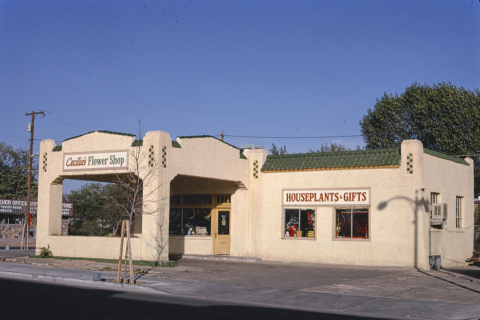 Cecilia's Flower Shop (gas Station), Silver City, New Mexico, 1991