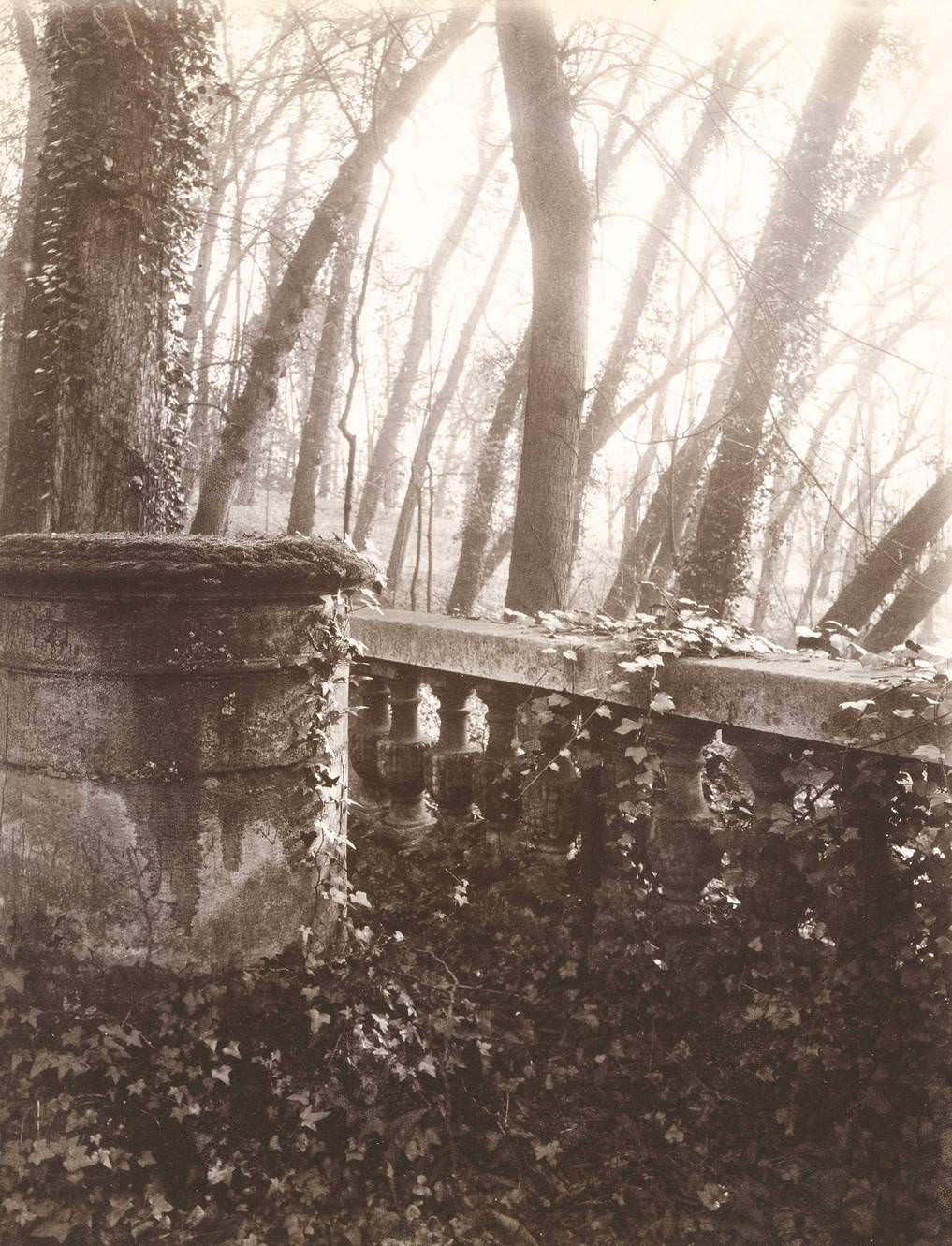 Saint-Cloud Park, Paris, 1924