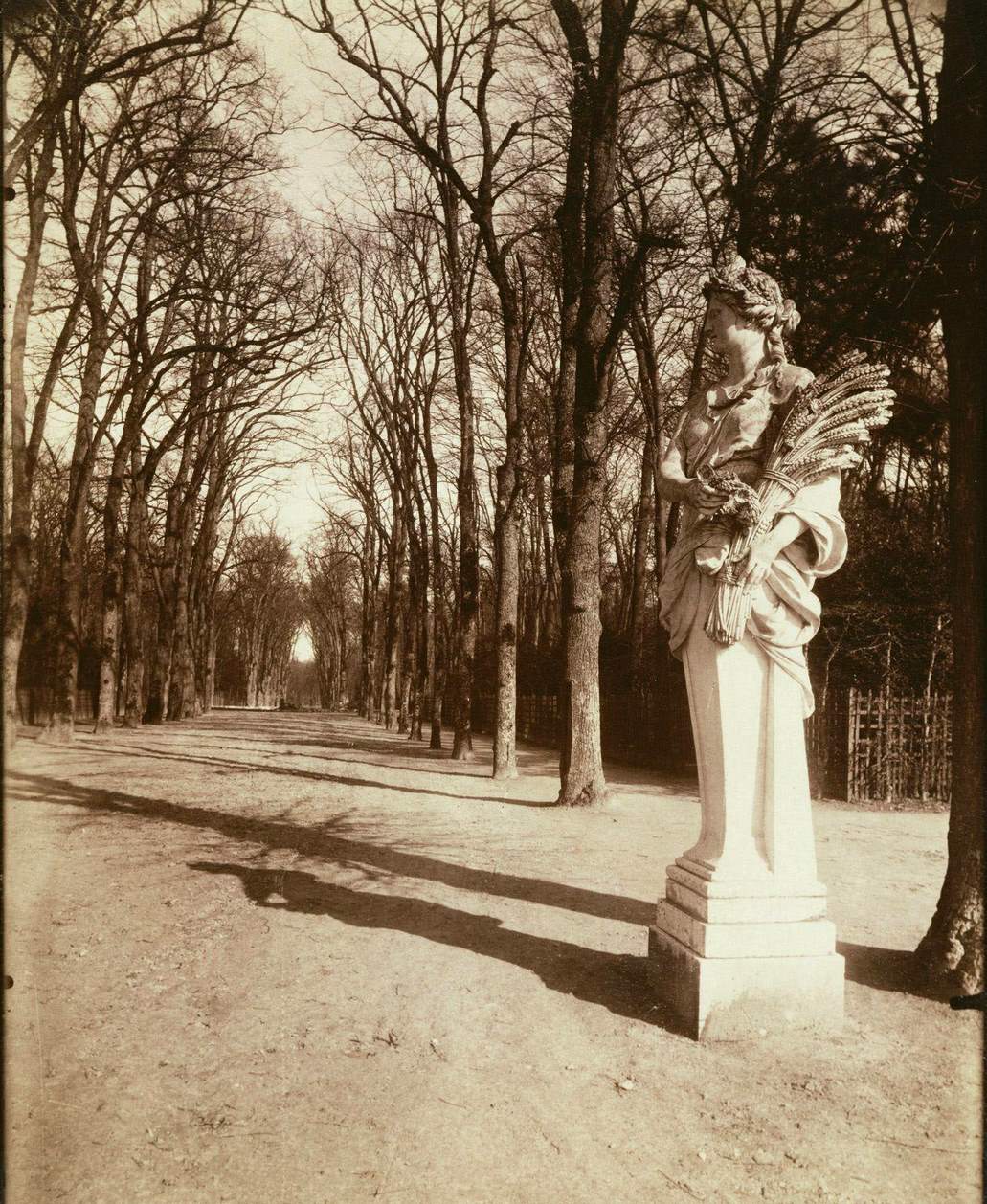 The Park, Versailles, 1920