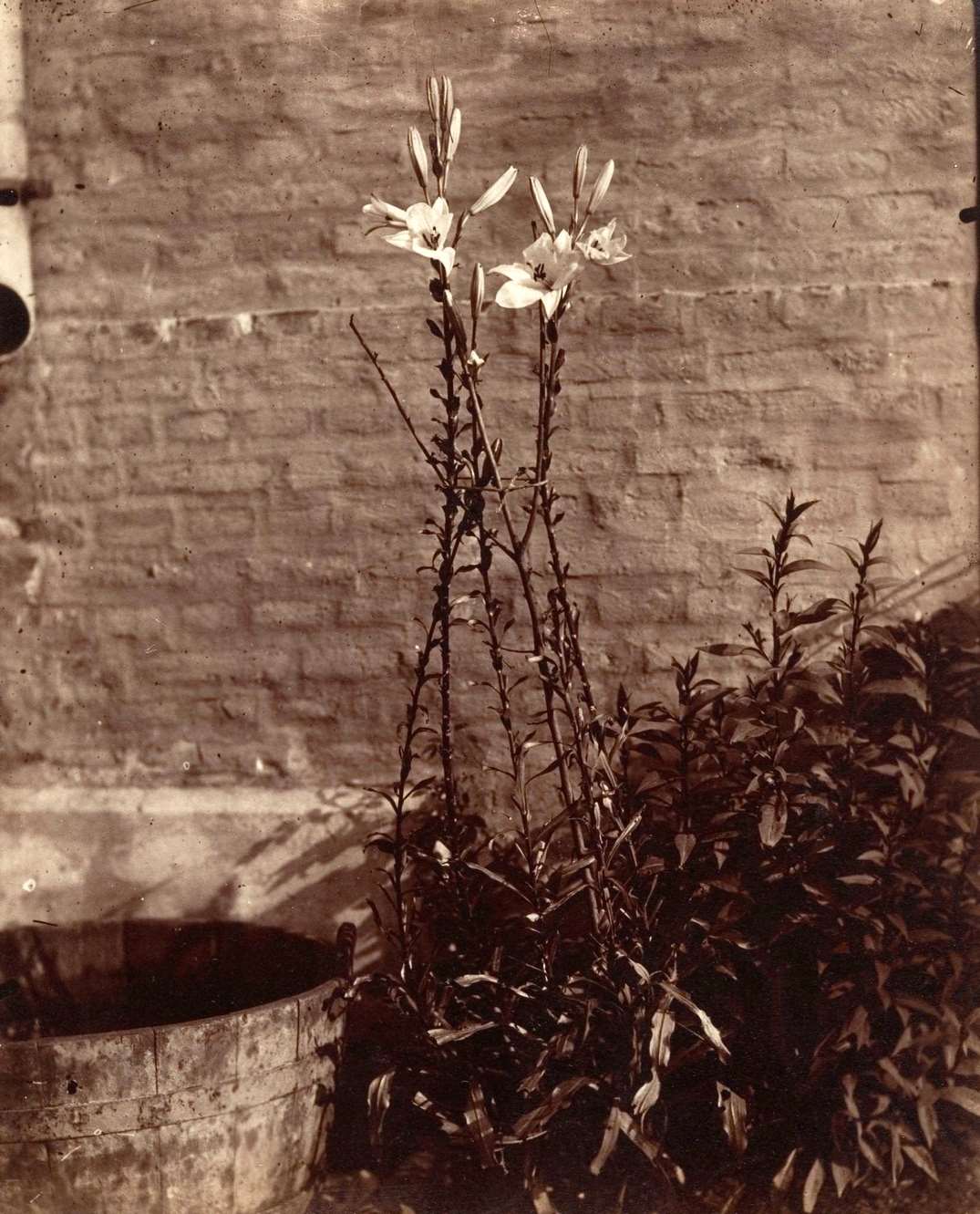 ys, before 1900
