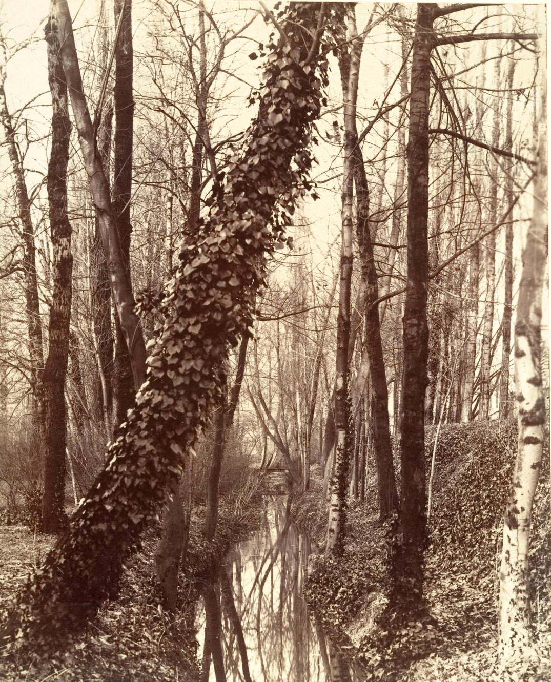 La Bievre, Boulevard d'Italie 13th disappeared in 1891; today rue Edmond Gondinet,