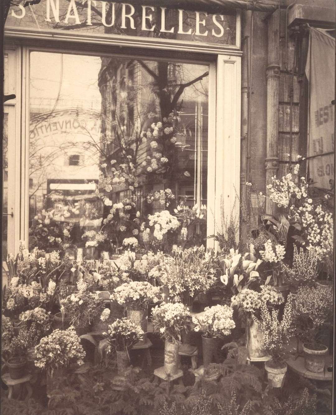 Boutique Fleurs, 1925