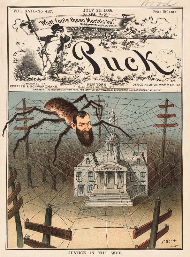 Puck magazine cover, July 22, 1885