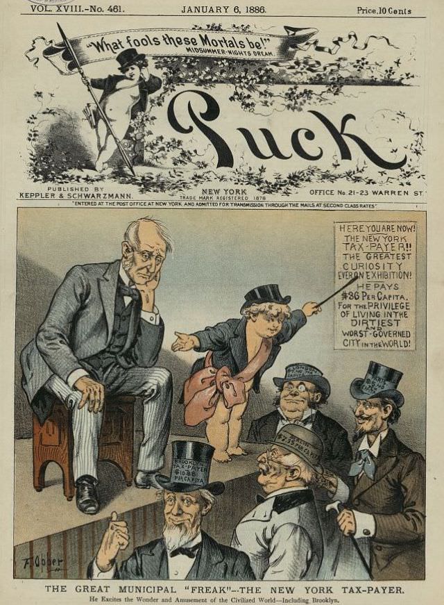 Puck magazine cover, January 6, 1886
