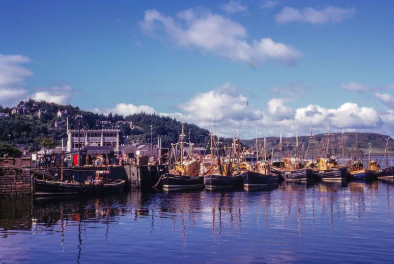 Fishing Boats, Oban Harbour, Scotland, 1960s