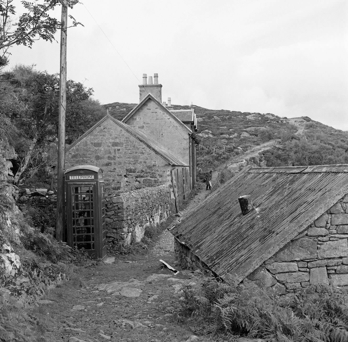 Isle of Soay, Inner Hebreides, Scotland, 18th September 1960.