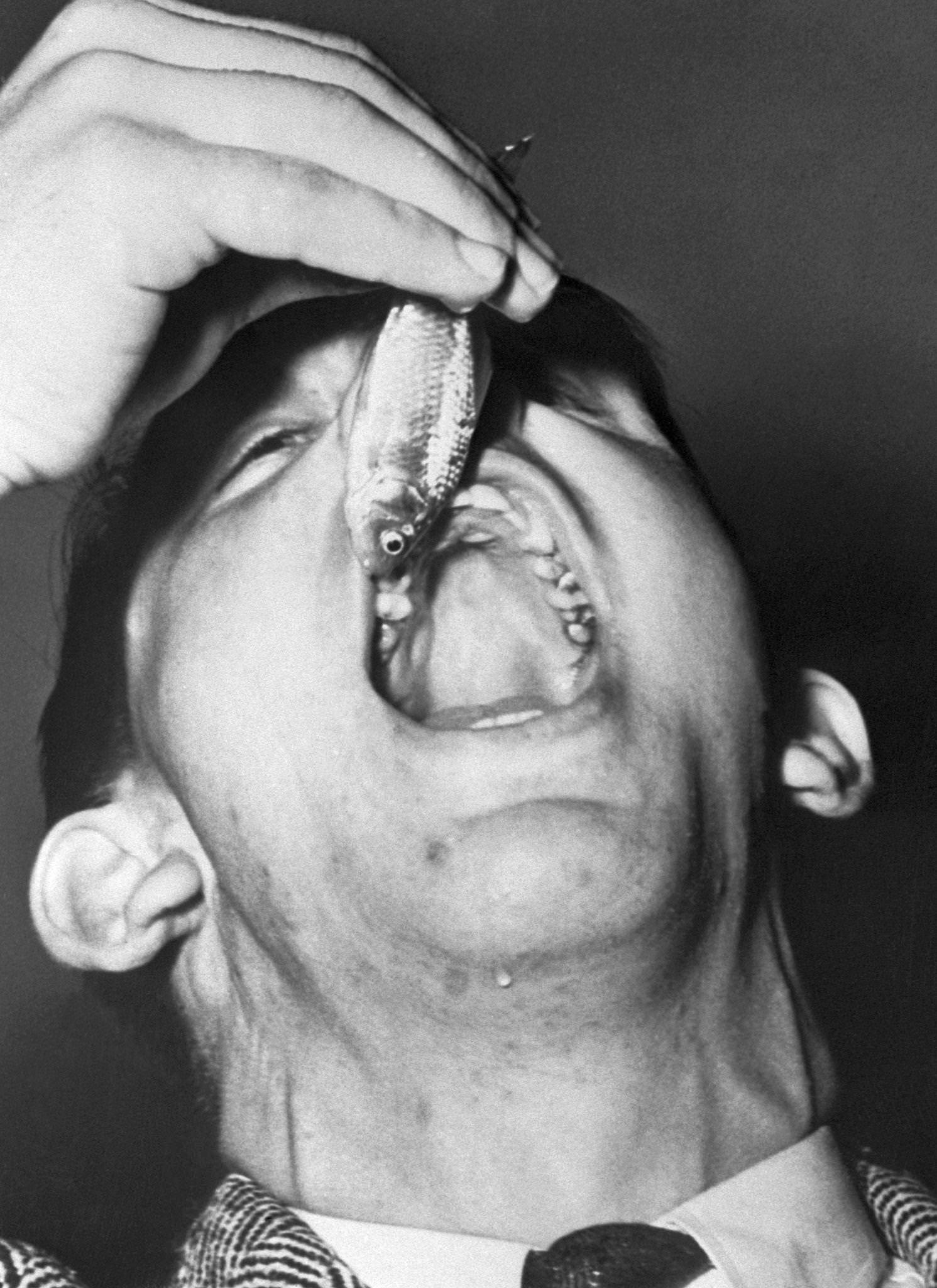 Man about to Eat a Goldfish at the University of British Columbia at Vancouver, 1930s