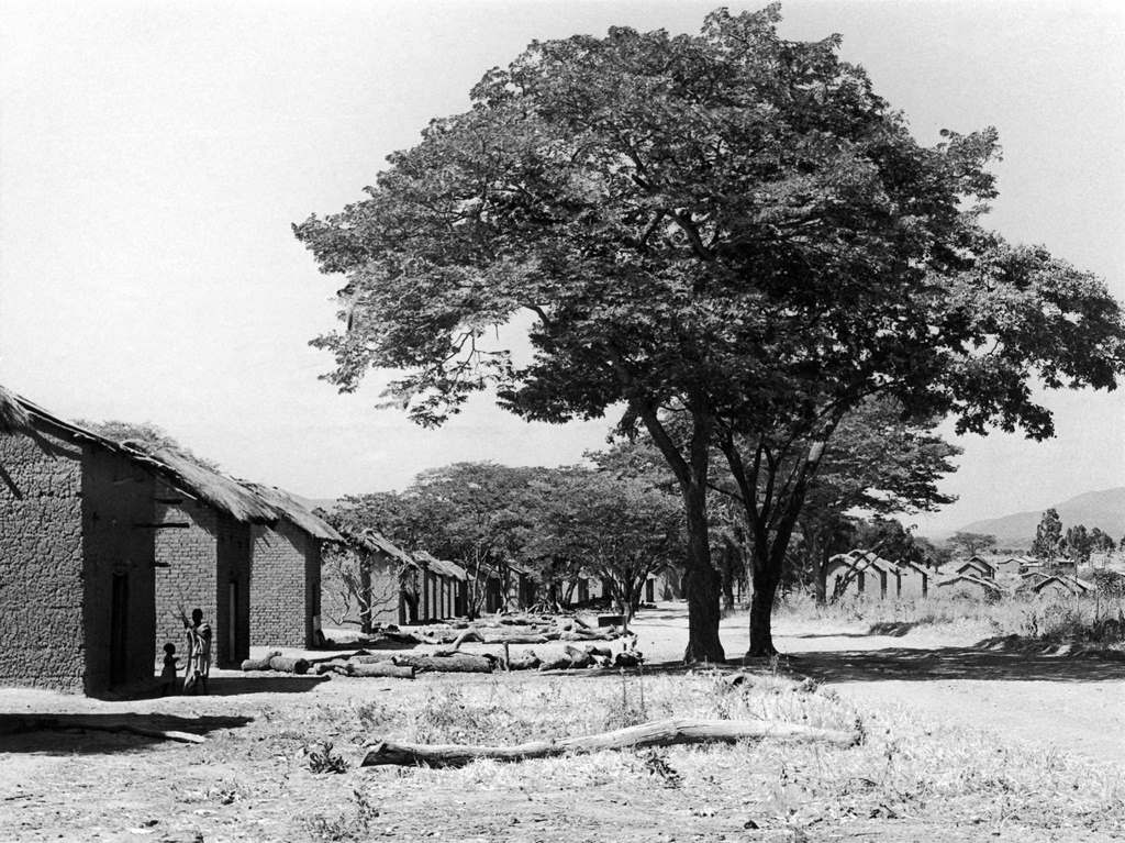 Buildings for curing tobacco in an Ujamaa, a village socialist community in the village of Kivere, Tanzania, October 23, 1969.