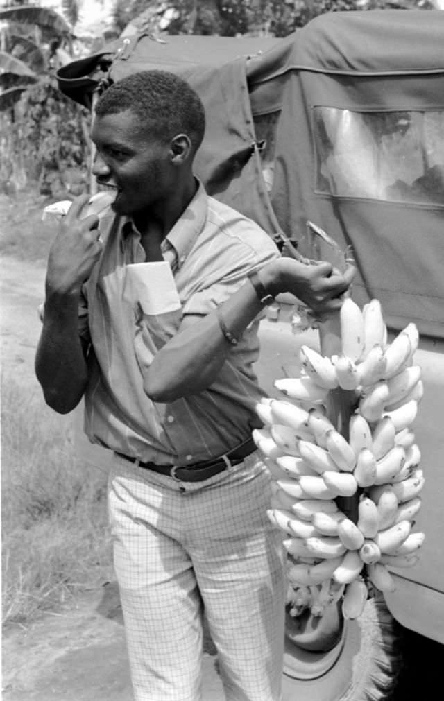 Bananas by the stalk, 1969