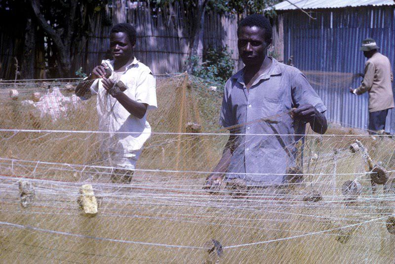 Sorting the nets, 1969