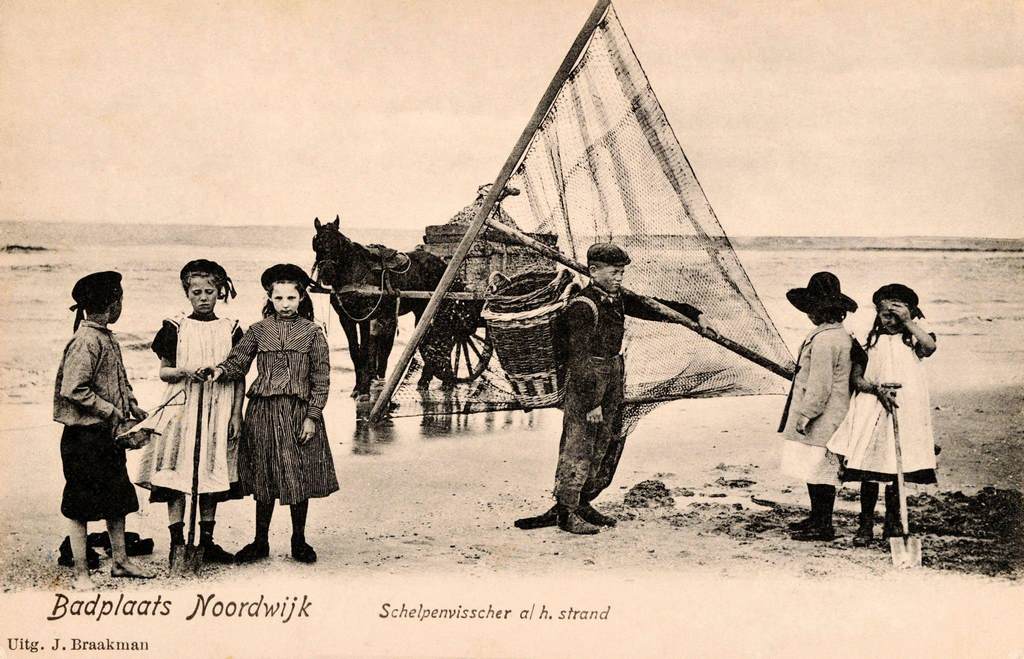 Dutch Children Collecting Seashells at the seaside with a horse and cart beyond, near Rotterdam, the Netherlands, 1910.