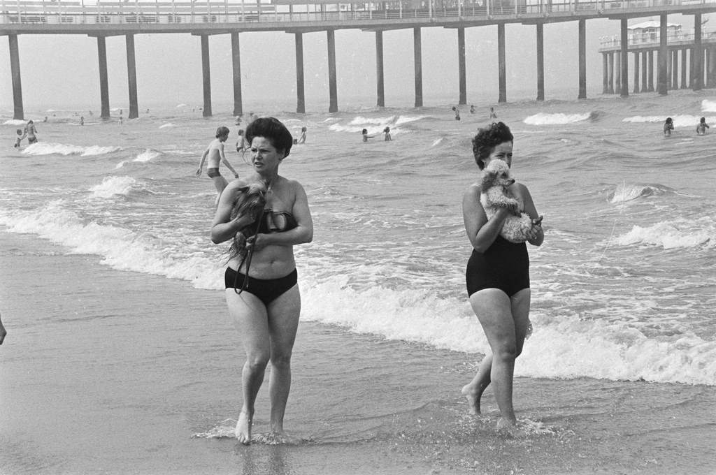 Mooi weer strand Scheveningen; two women with dogs, Scheveningen, The Netherlands, 1945