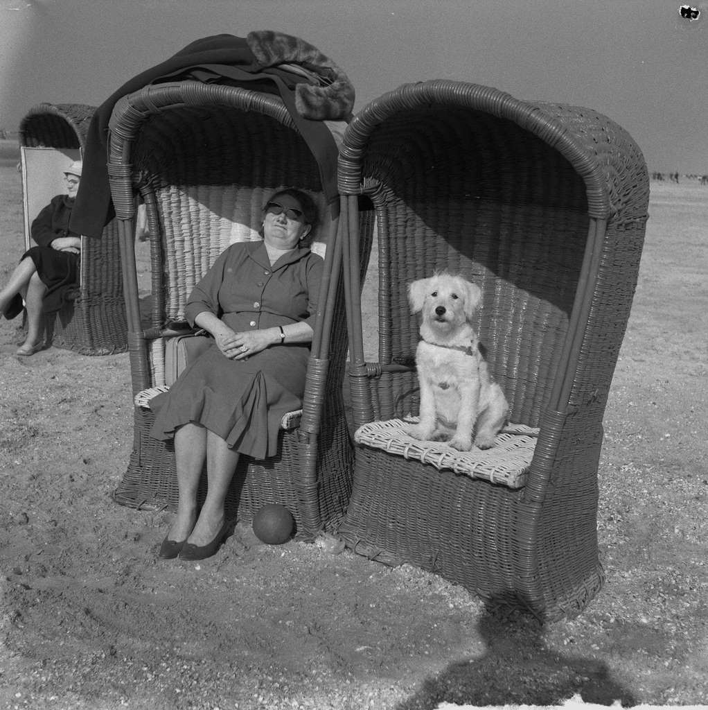 Beach at Zandvoort, March 5, 1961, beaches, The Netherlands.