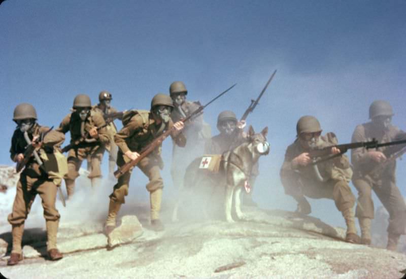 U.S. Army soldiers wear gas masks during a chemical warfare training exercise in California. 1943.