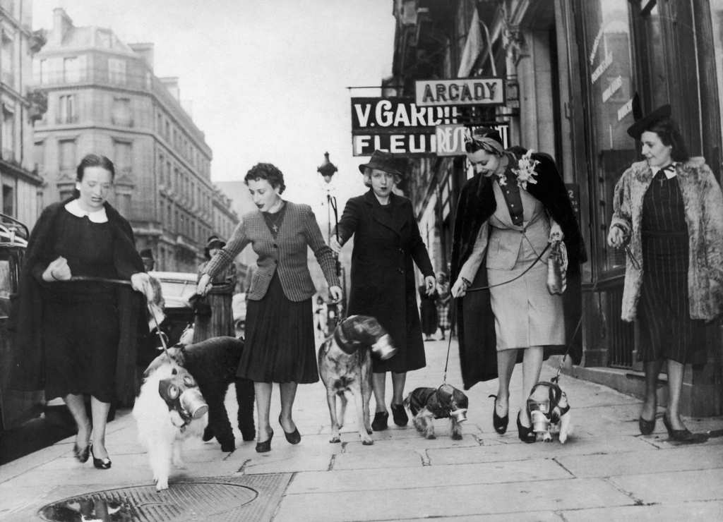 Parisians Women Doing A Walk With Their Dogs Fitted With Gas Mask, Paris, 1939