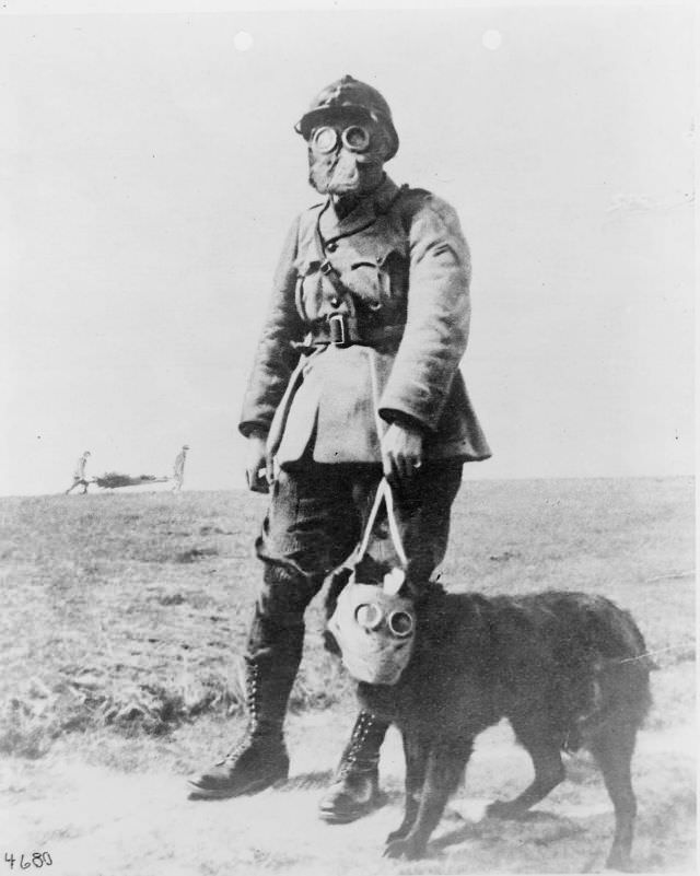 A French sergeant and dog wearing gas masks, near the front line during World War I. 1915.