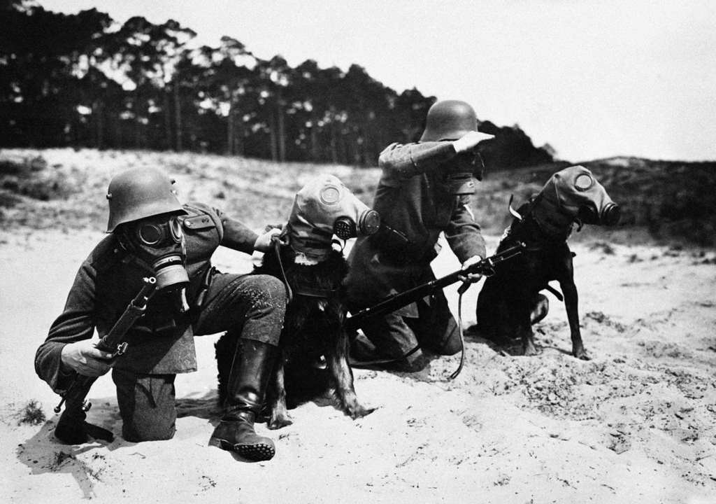 Reichswehr soldiers and their dogs wearing gas masks during a military maneuver on September 10, 1932 in Germany.