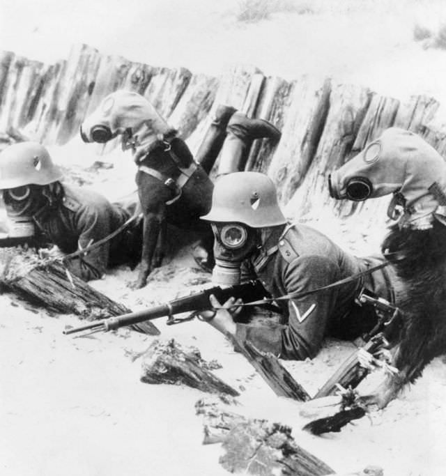 Member of a Prussian Reichwehr regiment during a training exercise. The 1920s.