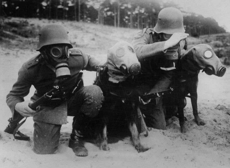 Interwar German army in training exercises. 1920s.