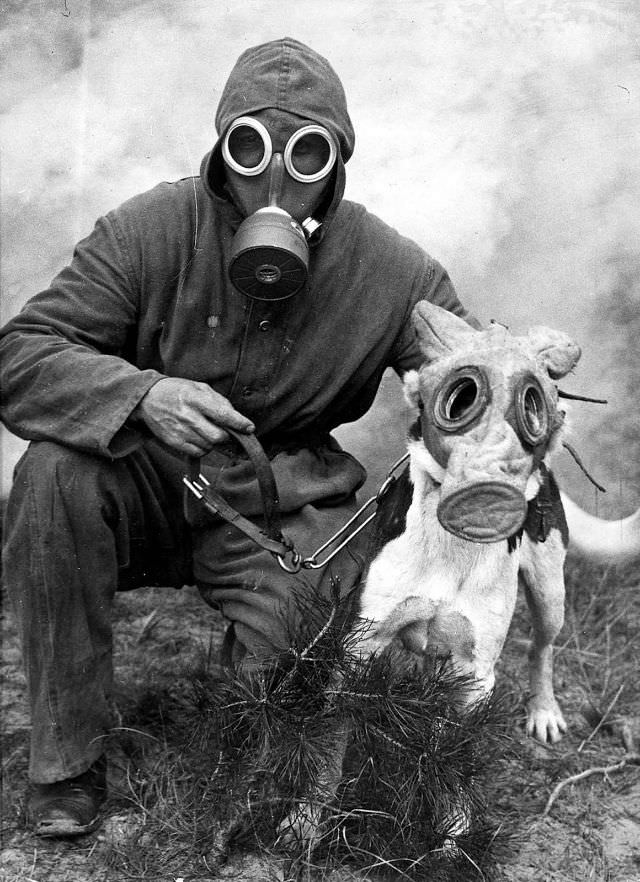 Dogs have been used in warfare since ancient times, serving as sentries, messengers, attackers and even mascots. c. 1940