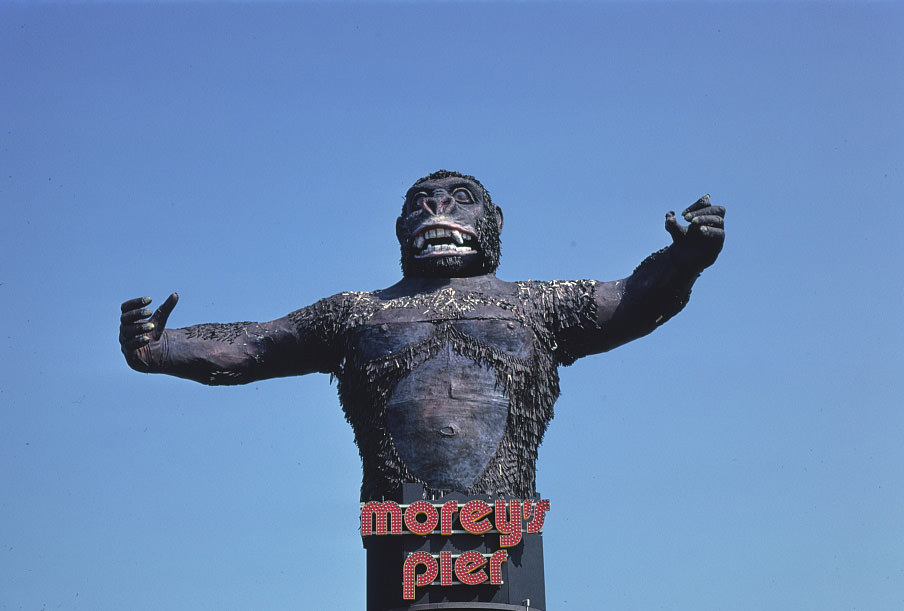 Morey's Pier, Wildwood, New Jersey, 1978