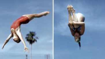 1959 Women's Diving and Swimming Championships
