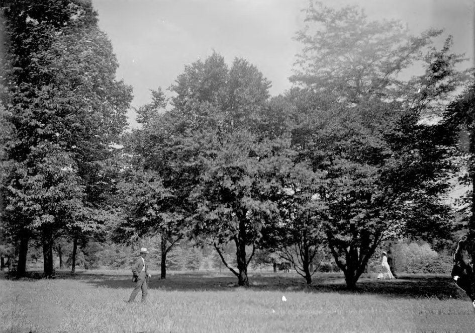 People Walking Through a Park, 1903